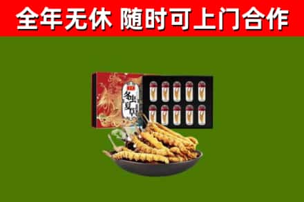 万宁市回收冬虫夏草价格